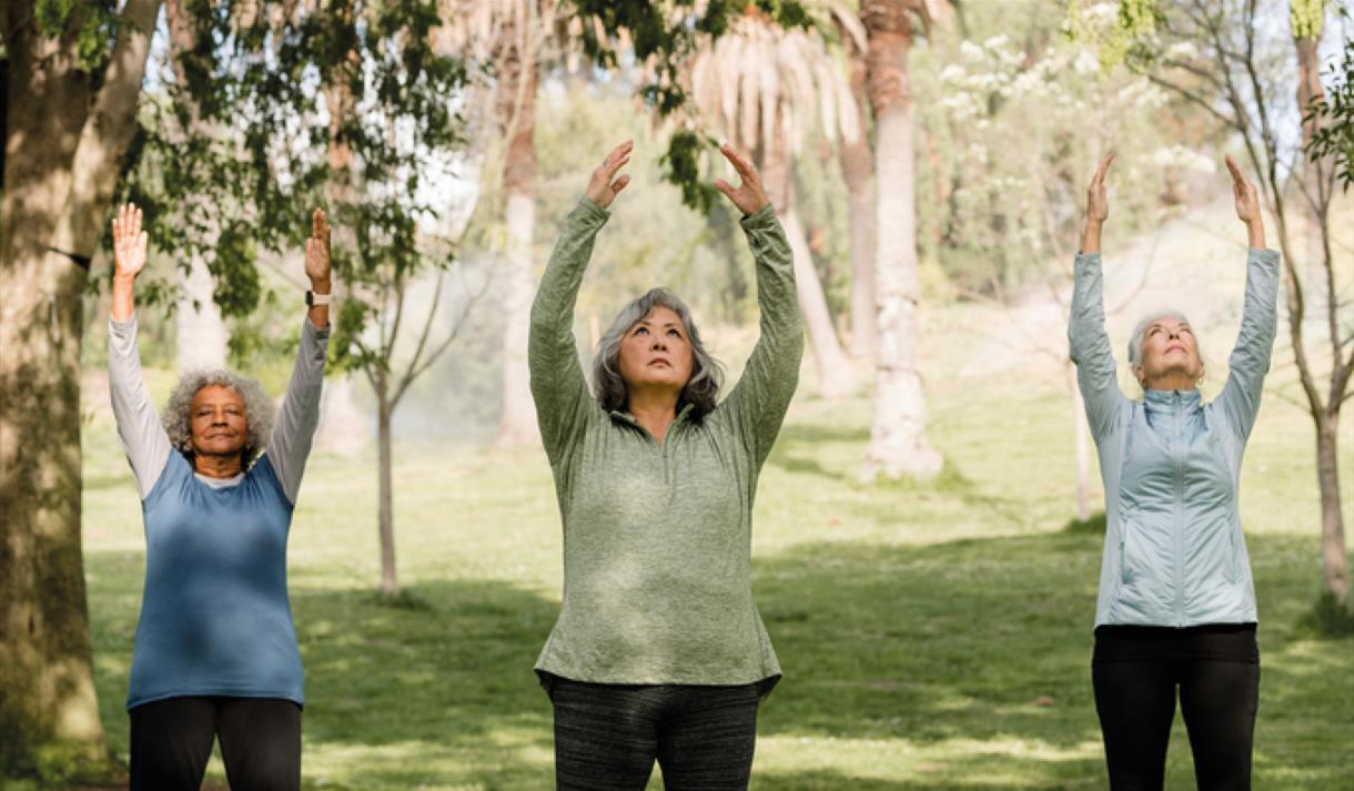 Forest Bathing