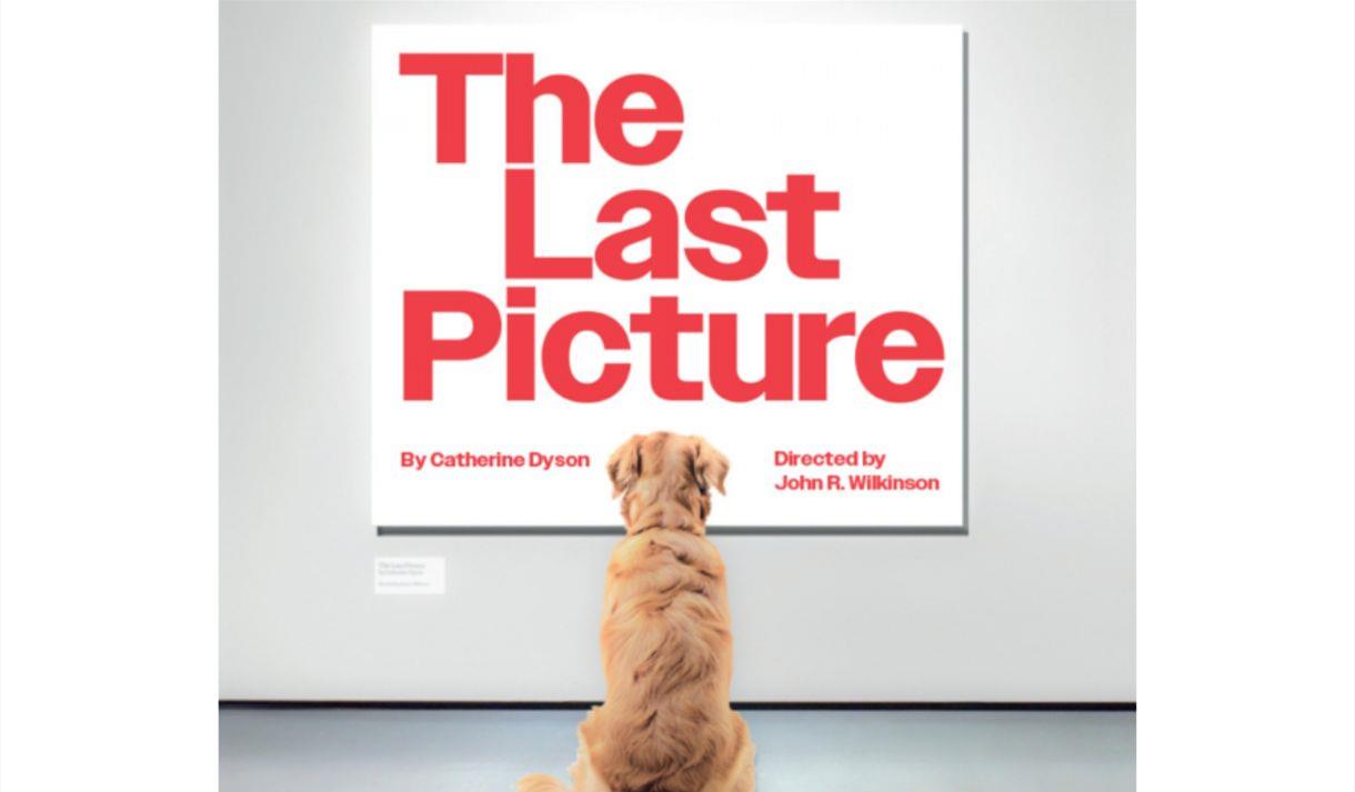 The Last Picture poster