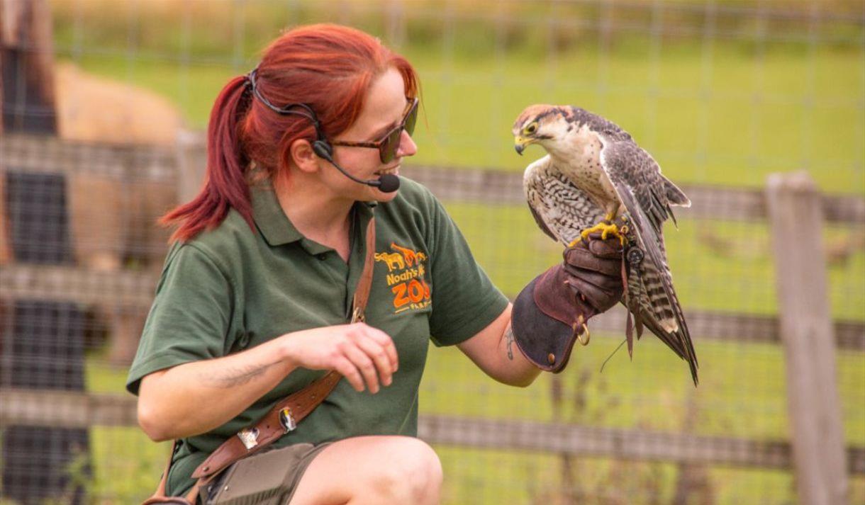 Noahs Ark Zoo Farm Keeper