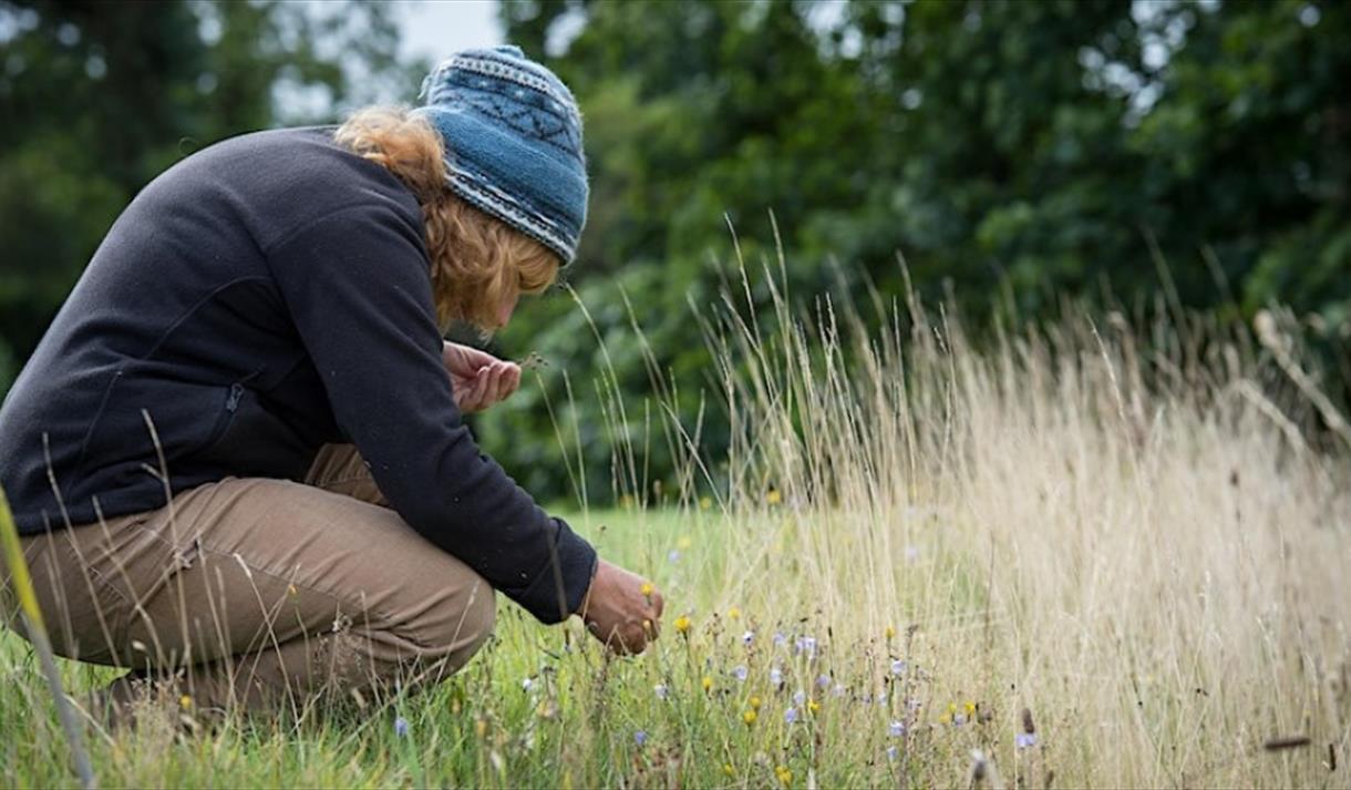 Biological Recording at Grow Wilder