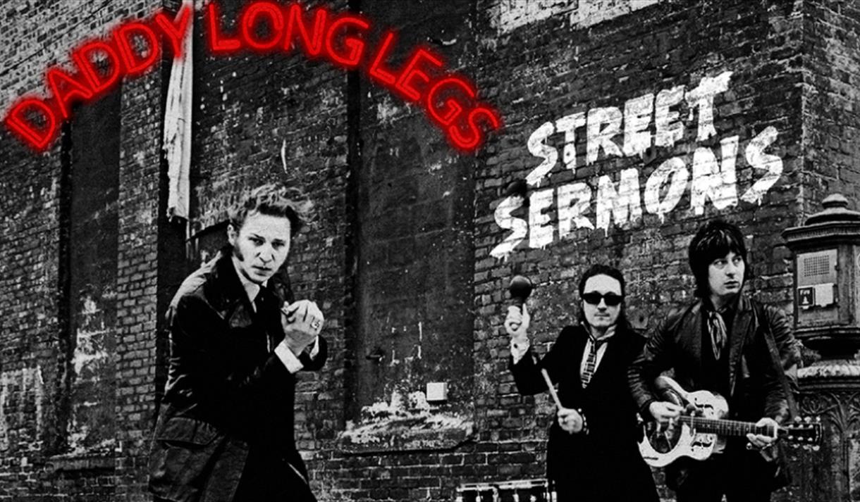 Daddy Long Legs