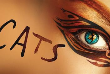 Cats the musical
