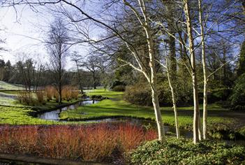 The Savill Garden