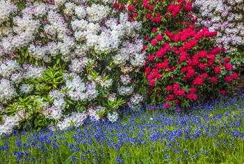 Bowood Garden Tours