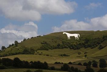 Westbury White Horse Summer Wiltshire