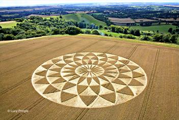 Crop Circle (C) Lucy Pringle