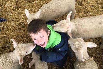 Roves Farm Visitor Centre