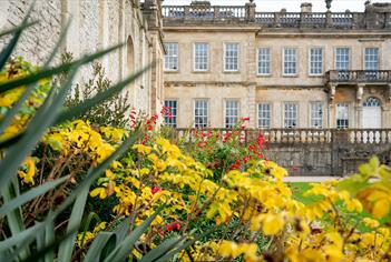 yellow leaves in front of old building