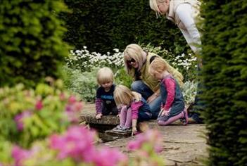 National Trust - Tintinhull Garden