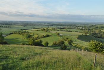 Rolling fields