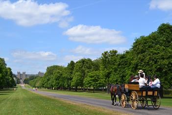 Carriage rides in Windsor Great Park