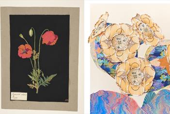 Two artworks depicting flowers