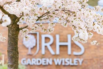 RHS Garden Wisley