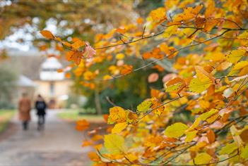 Where to eat and drink in Lacock