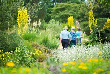 The Savill Garden