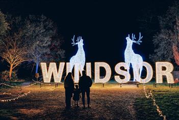 Windsor Great Park Illuminated image Joshua Atkins