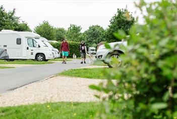 Walking dogs at Devizes Camping and Caravanning Club Site