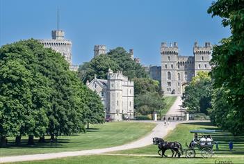 Windsor Carriages