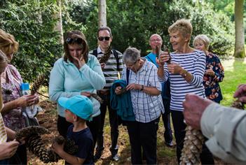 A group of peole on a Discovery Walks at Westonbirt Arboretum