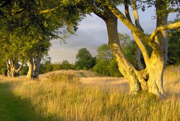 Stonehenge Landscape