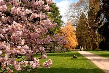 Westonbirt, The National Arboretum