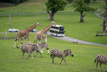 Longleat - Travel Trade