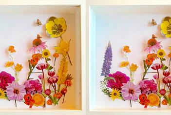 Botanical Boxed Paper Relief with Anya Beaumont