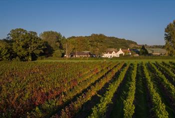 Aldwick Court farm and vineyard