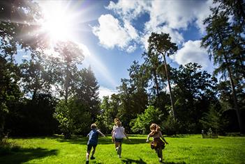 Tree Champion Family Events at Westonbirt Arboretum
