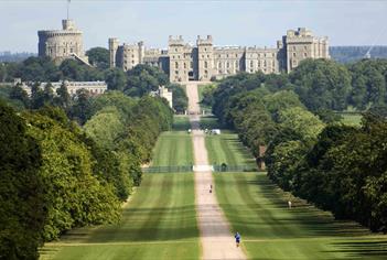 Windsor Great Park