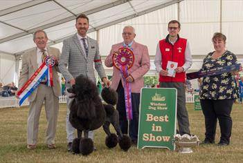 Windsor Championship Dog Show Best in Show. Image courtesy ShowdogMedia: www.showdogmedia.co.uk