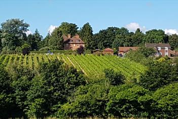 a'Beckett's Vineyard, Wiltshire