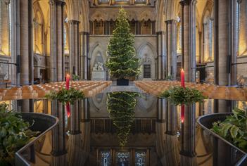 Christmas Tree inside Salisbury Cathedral