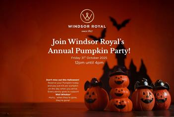 Windsor Pumpkin Party