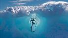 Travel Photographer of the Year 2022. Green Planet SPECIAL MENTION: Scott Portelli,
Australia