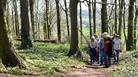 Visitors walking through Truckle Wood.