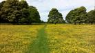 North Wessex Downs AONB