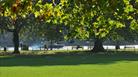 The River Thames from Higgison Park