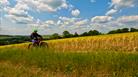 New Forest Cycling Tours
