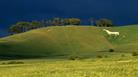 Cherhill White Horse on North Wessex Downs AONB