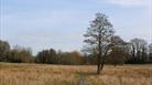 Jones's Mill Nature Reserve