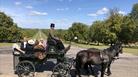 Horse drawn carriage in Windsor