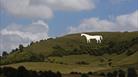 Westbury White Horse Summer Wiltshire