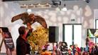 Owl displays