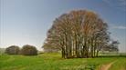 North Wessex Downs AONB