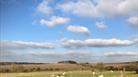 Wiltshire countryside views from Cliffe Farm Dairy