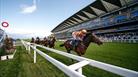 Royal Ascot Trials Day
