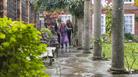 Visitors in rear garden