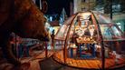 Christmas Market Igloo stall CREDIT James Bridle