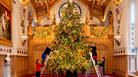 Christmas at Windsor Castle: Christmas tree in St George's Hall.  Royal Collection Trust/© Her Majesty Queen Elizabeth II 2020